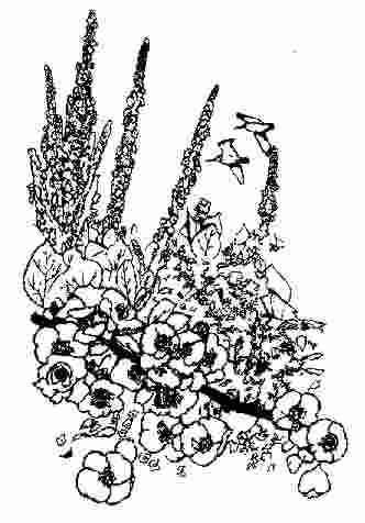 page13.JPG