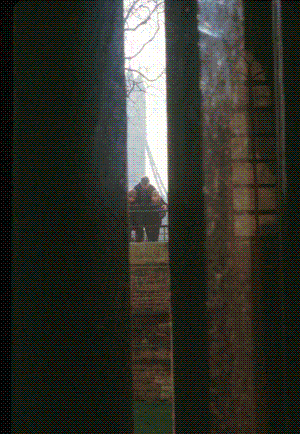 solidaire AubreyAragoPhotography solidaire, solitaire